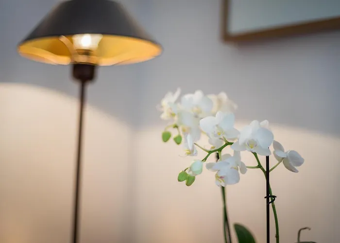 Passat App 5 Apartment